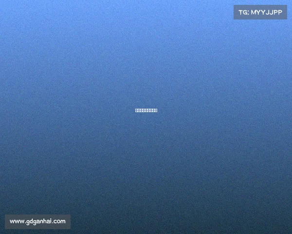 赛事专员是做什么的